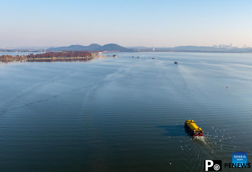 Wintering red-billed gulls arrive in Donghu Lake scenic spot in Wuhan, C China