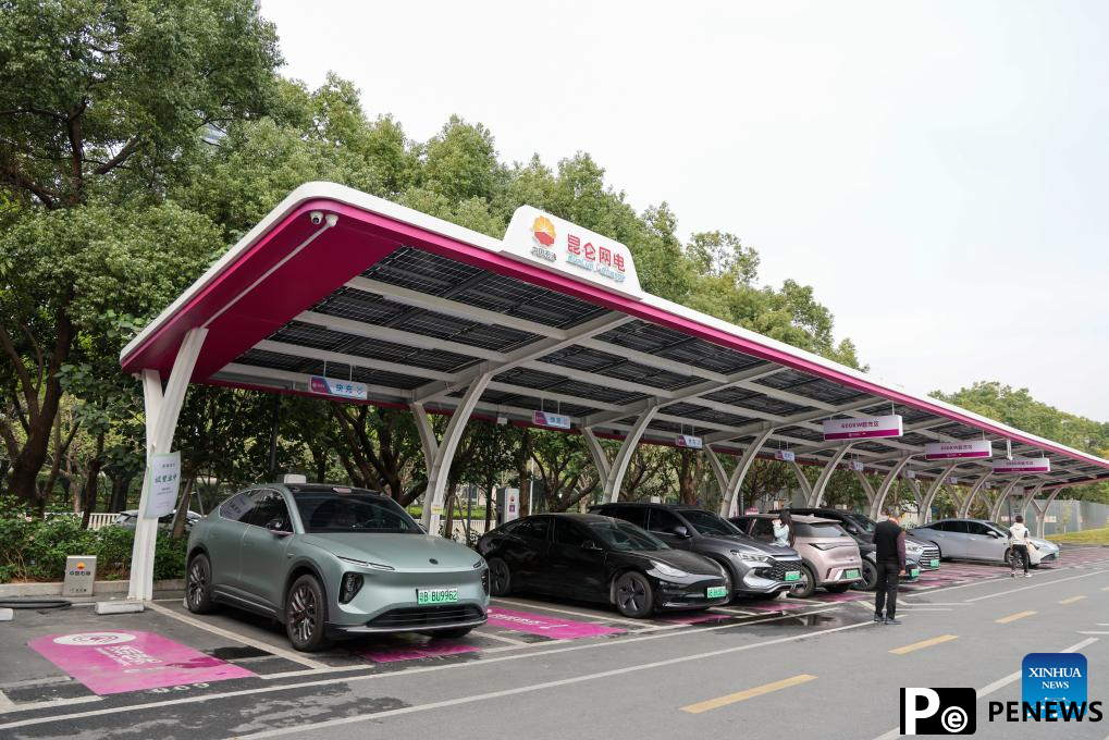 In pics: advanced AI applications in parks across Shenzhen