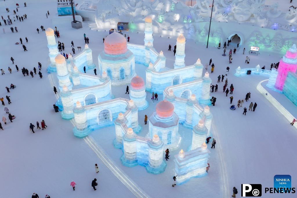 41st Harbin Int