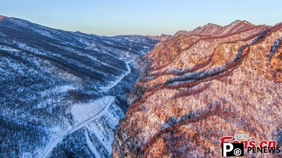 Morning glow adds color to snowy mountain at Shennongjia