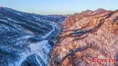 Morning glow adds color to snowy mountain at Shennongjia