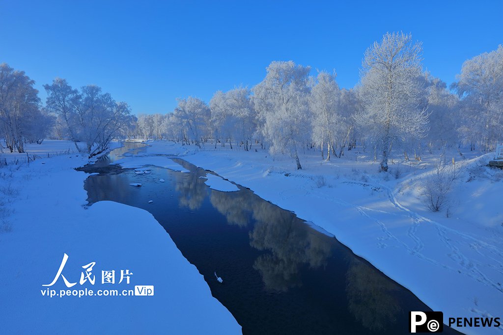 Rime frost blankets Habahe Birches Park in NW China