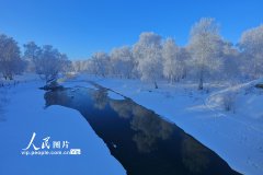 Rime frost blankets Habahe Birches Park in NW China's Xinjiang