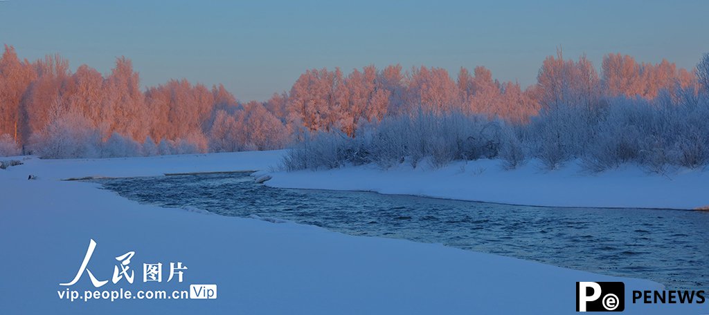 Rime frost blankets Habahe Birches Park in NW China