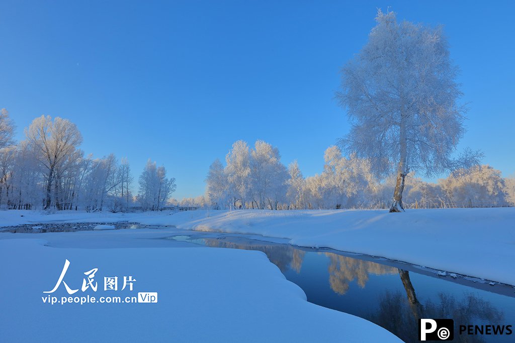 Rime frost blankets Habahe Birches Park in NW China
