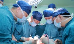 edited whole pig liver xenotransplantation surgery in brain