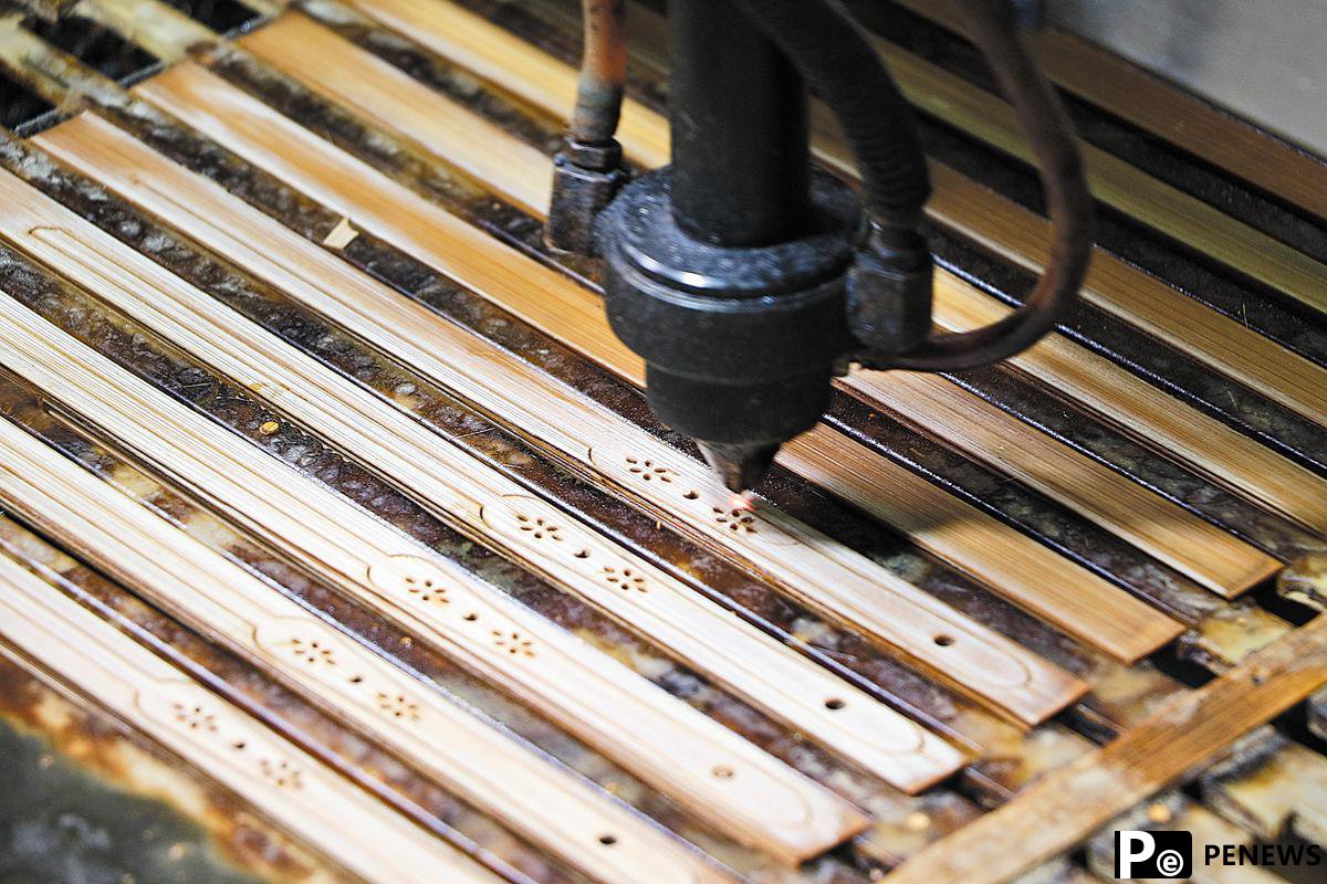 China pushes for bamboo to replace plastics