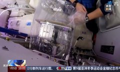 China's fruit fly experiment on space station progressing smoothly, family expansion expected to produce three generations