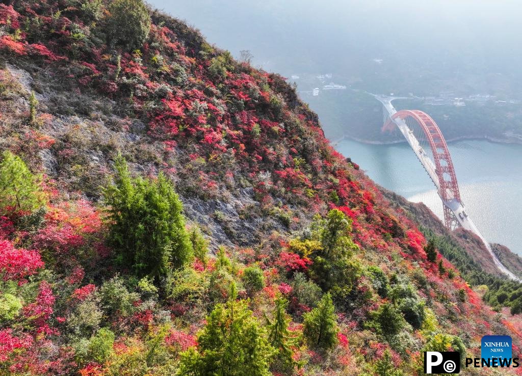 Red leaves dye mountains along Wuxia Gorge in SW China