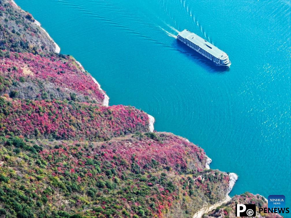 Red leaves dye mountains along Wuxia Gorge in SW China