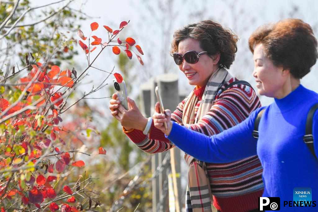 Red leaves dye mountains along Wuxia Gorge in SW China
