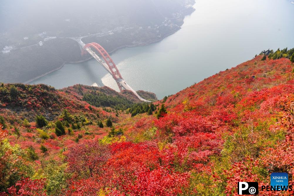 Red leaves dye mountains along Wuxia Gorge in SW China