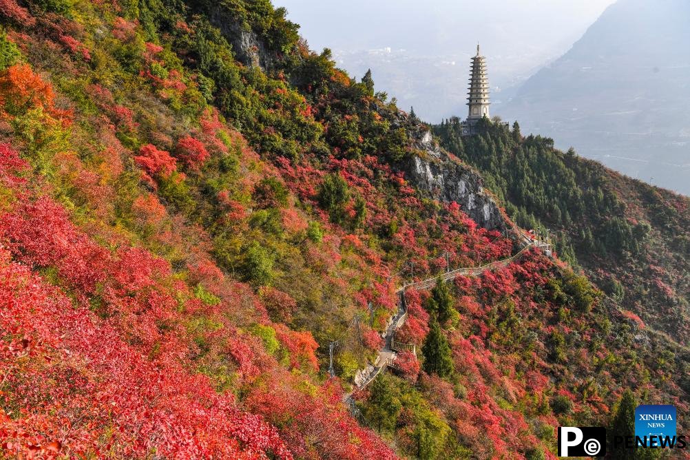 Red leaves dye mountains along Wuxia Gorge in SW China