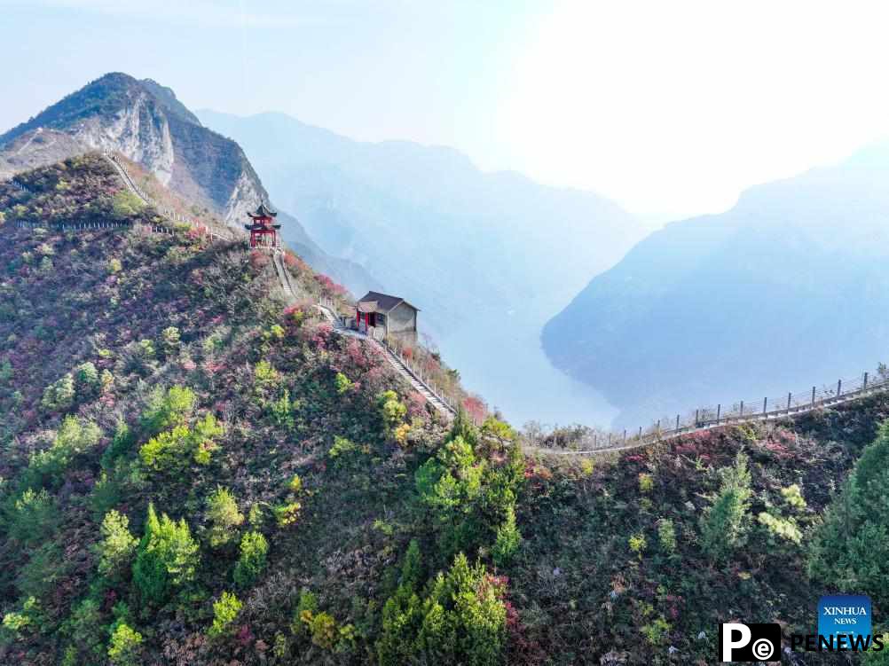 Red leaves dye mountains along Wuxia Gorge in SW China