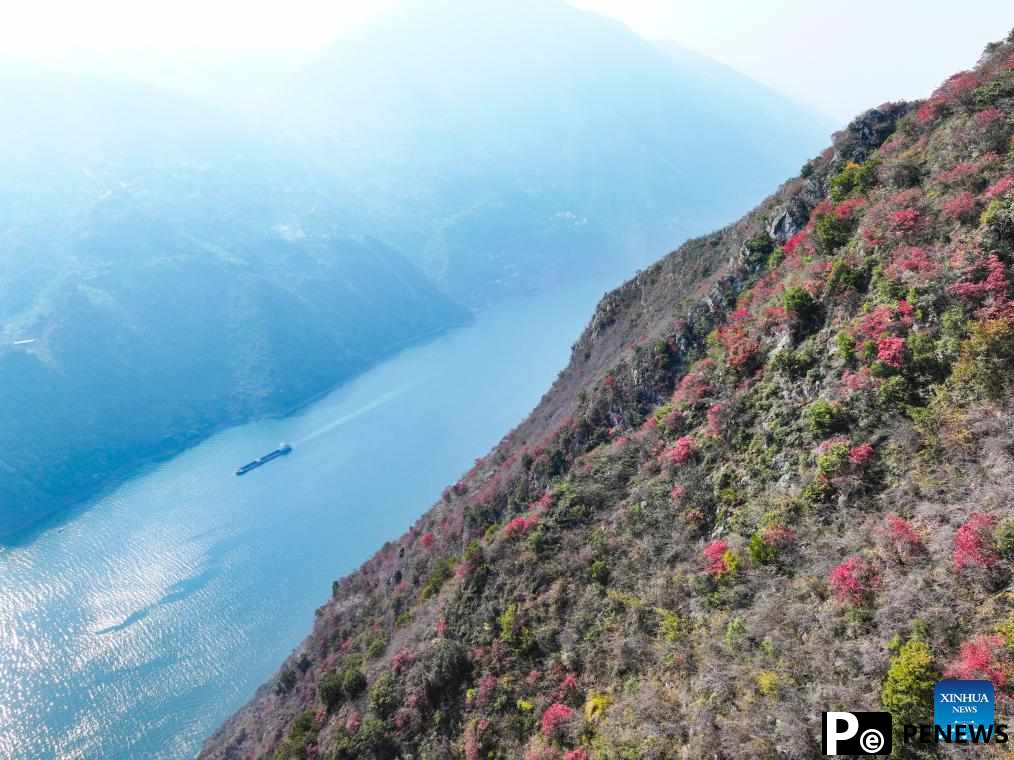 Red leaves dye mountains along Wuxia Gorge in SW China