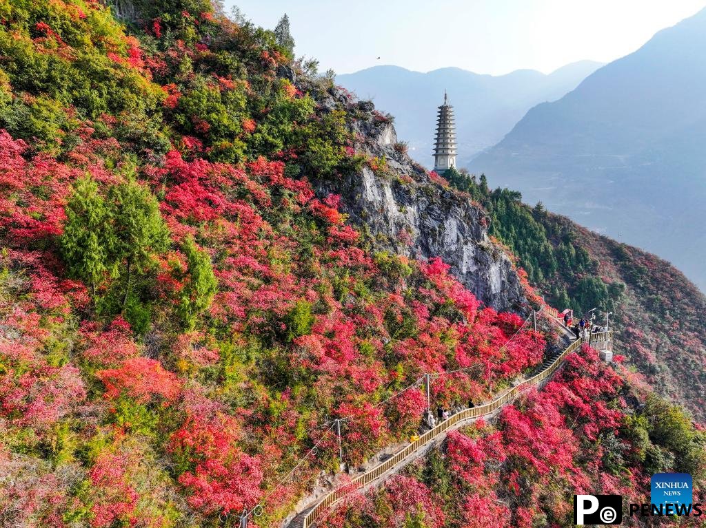 Red leaves dye mountains along Wuxia Gorge in SW China