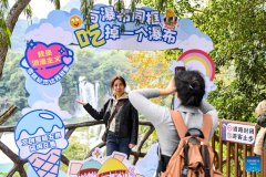 In pics: China-Vietnam Detian-Ban Gioc Waterfall cross-border tourism cooperation zone