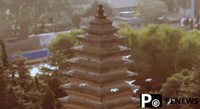 A glimpse into ancient capital Luoyang: a treasure trove in C China