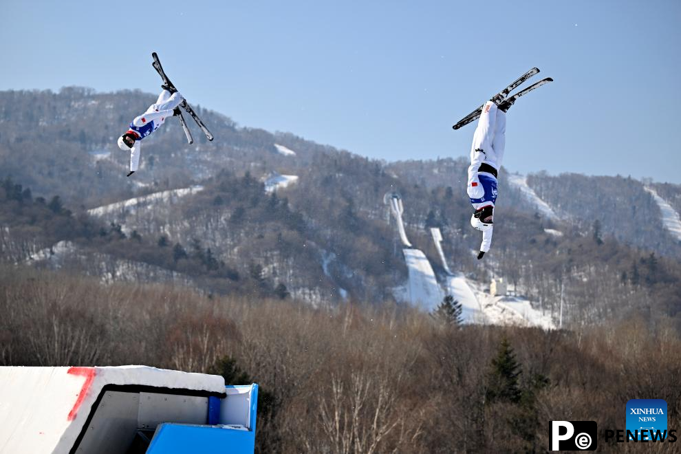 In pics: Freestyle Skiing men