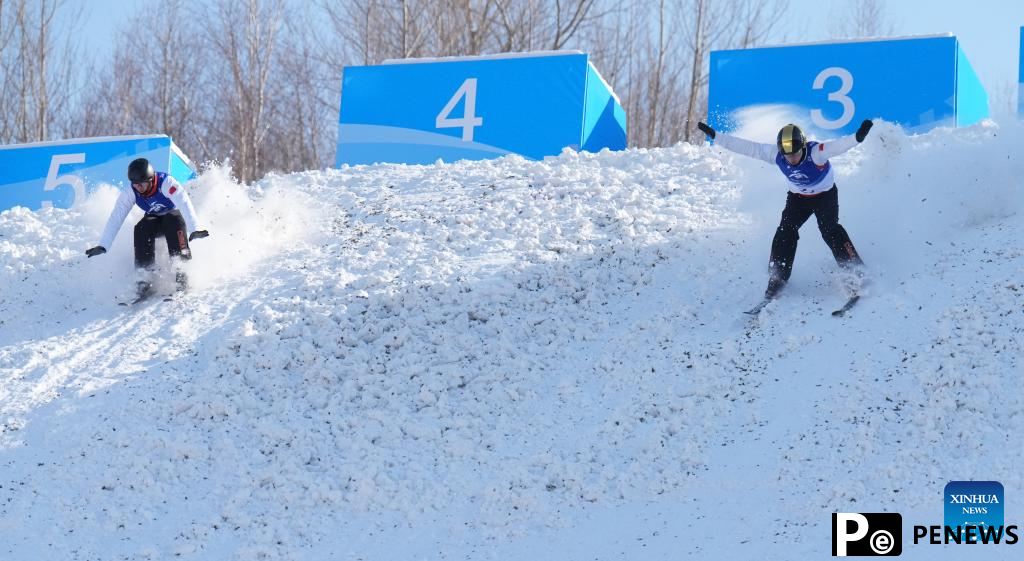 In pics: Freestyle Skiing men