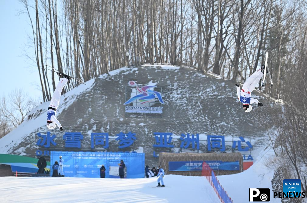 In pics: Freestyle Skiing men