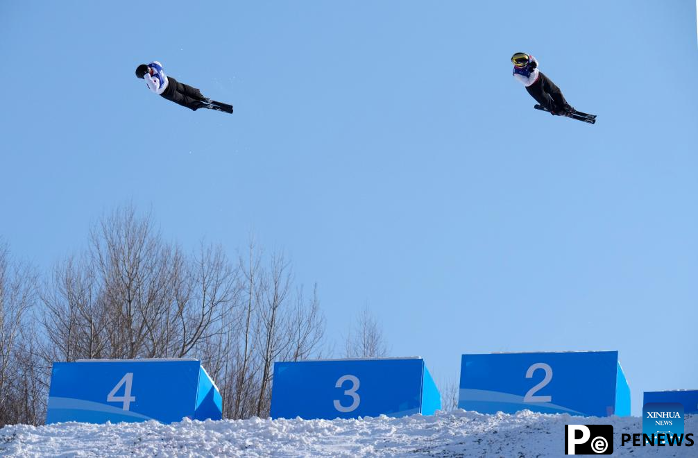 In pics: Freestyle Skiing men