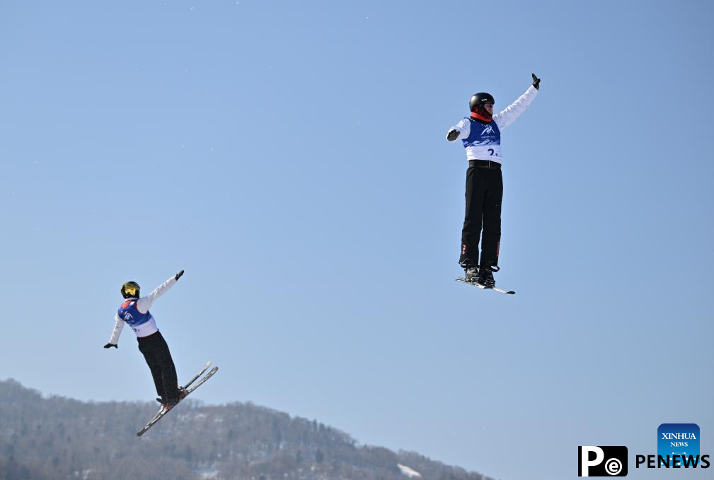 In pics: Freestyle Skiing men