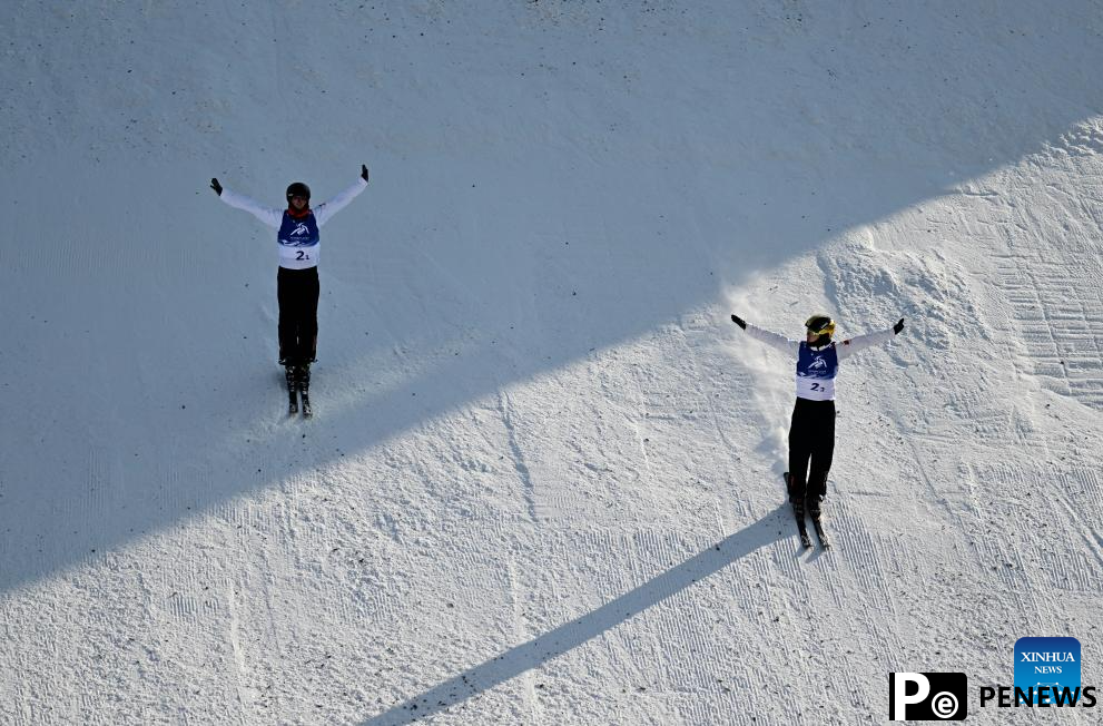 In pics: Freestyle Skiing men