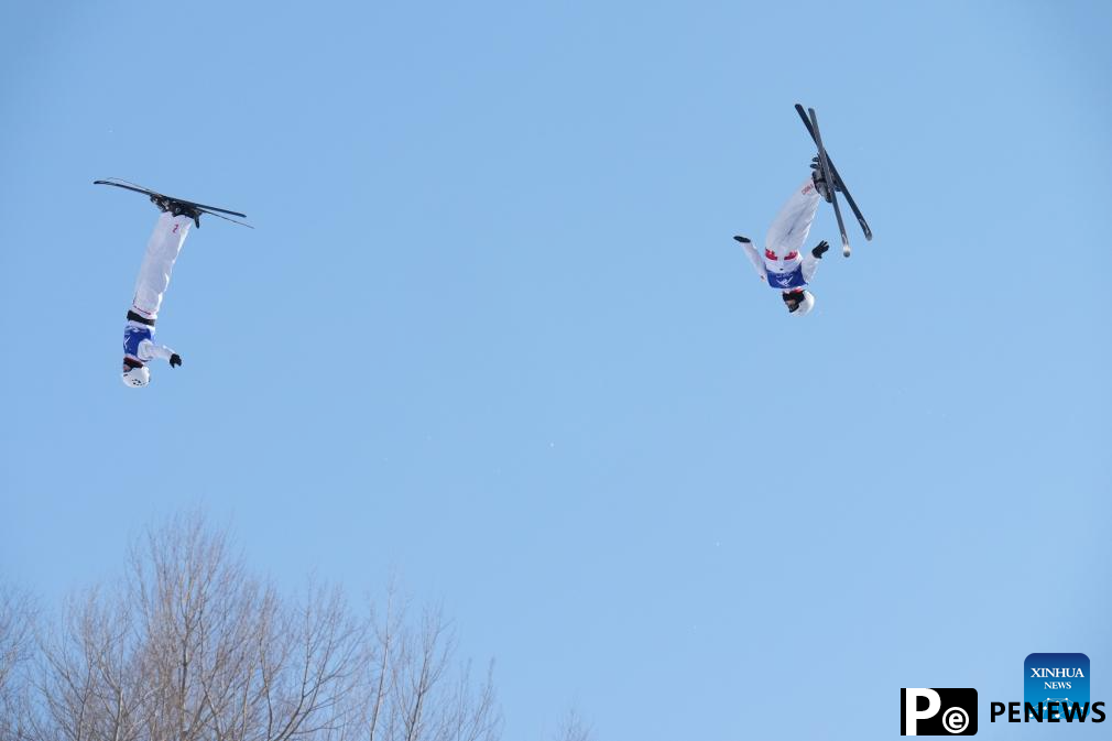 In pics: Freestyle Skiing men