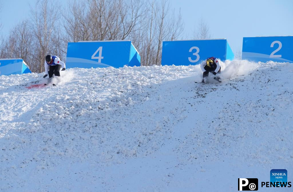 In pics: Freestyle Skiing men