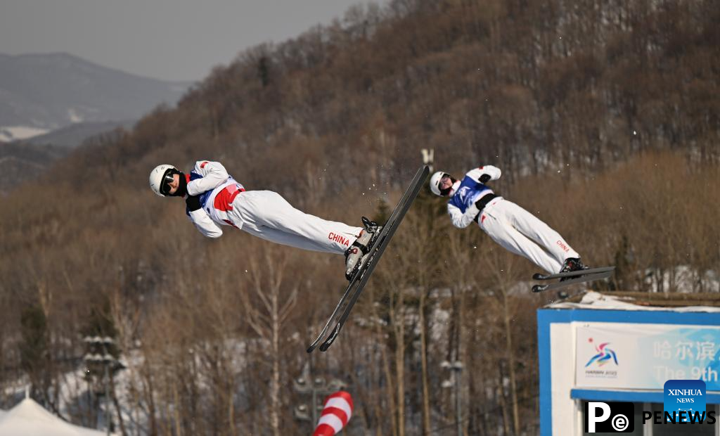 In pics: Freestyle Skiing men