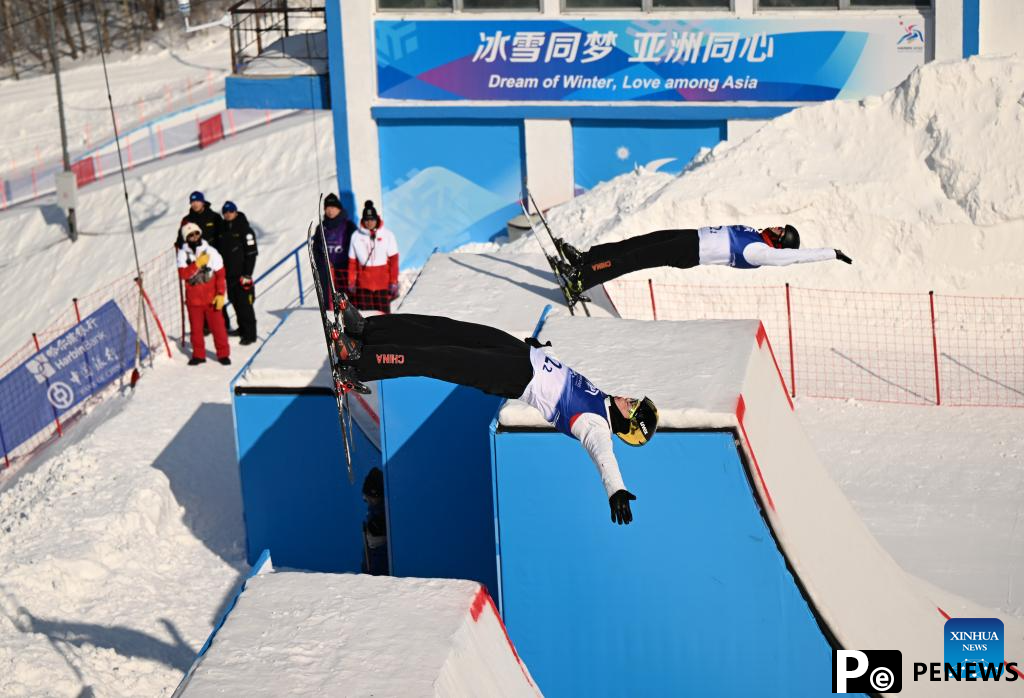 In pics: Freestyle Skiing men