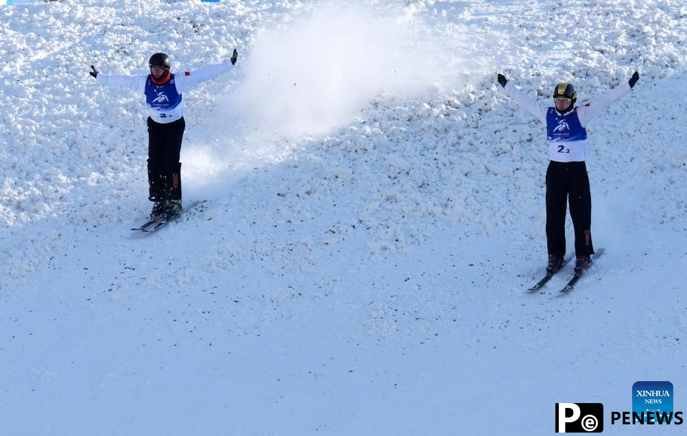 In pics: Freestyle Skiing men