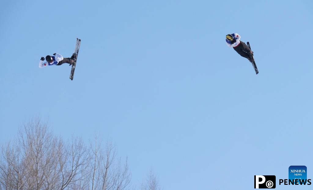 In pics: Freestyle Skiing men