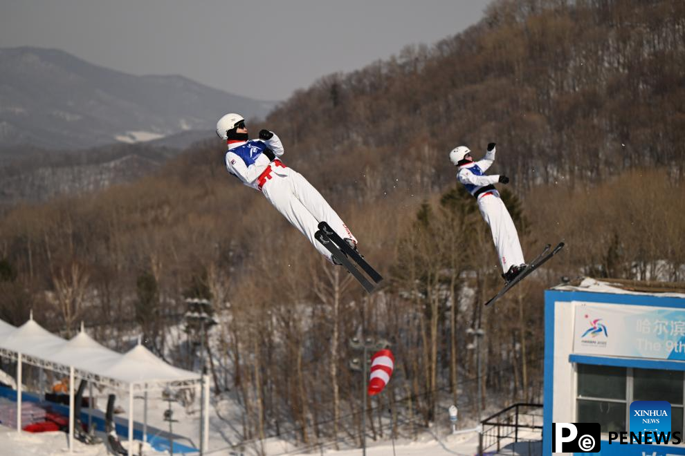 In pics: Freestyle Skiing men