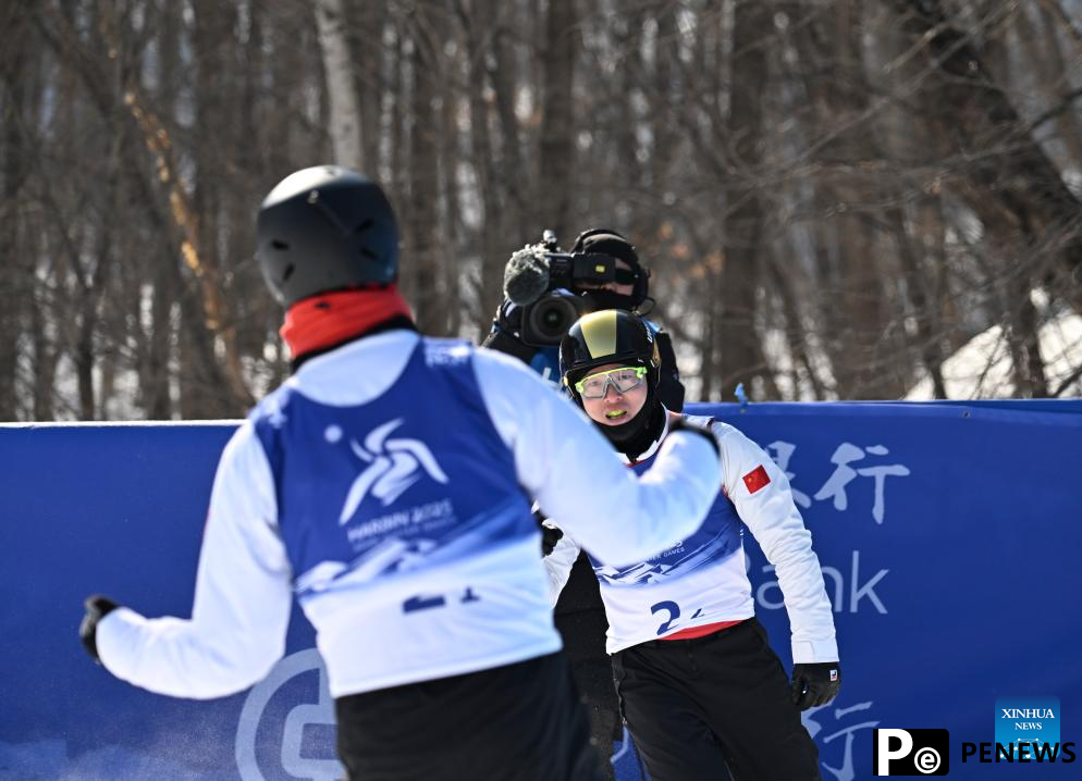 In pics: Freestyle Skiing men