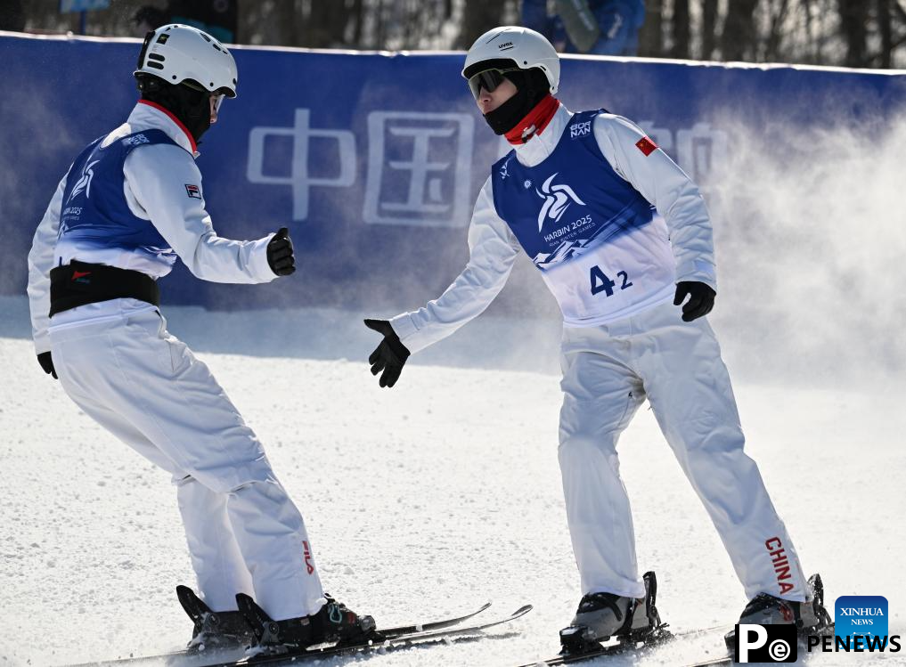 In pics: Freestyle Skiing men