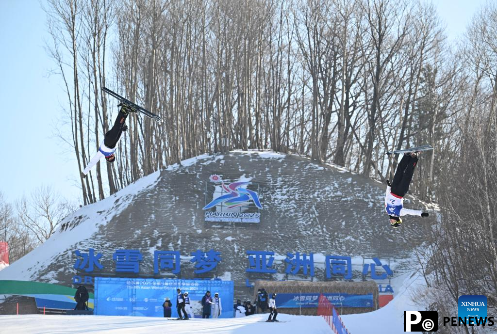 In pics: Freestyle Skiing men