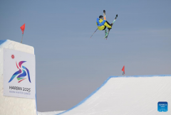 Highlights of men's freeski slopestyle at Asian Winter Games