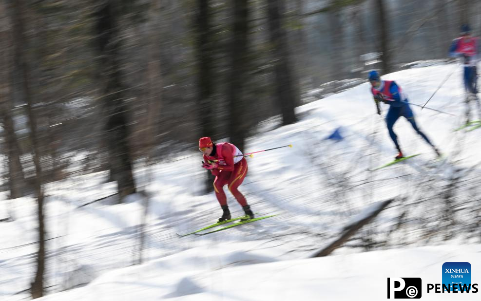 Country Skiing men