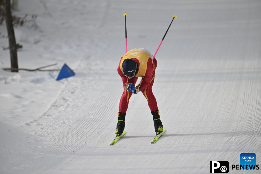 Country Skiing men