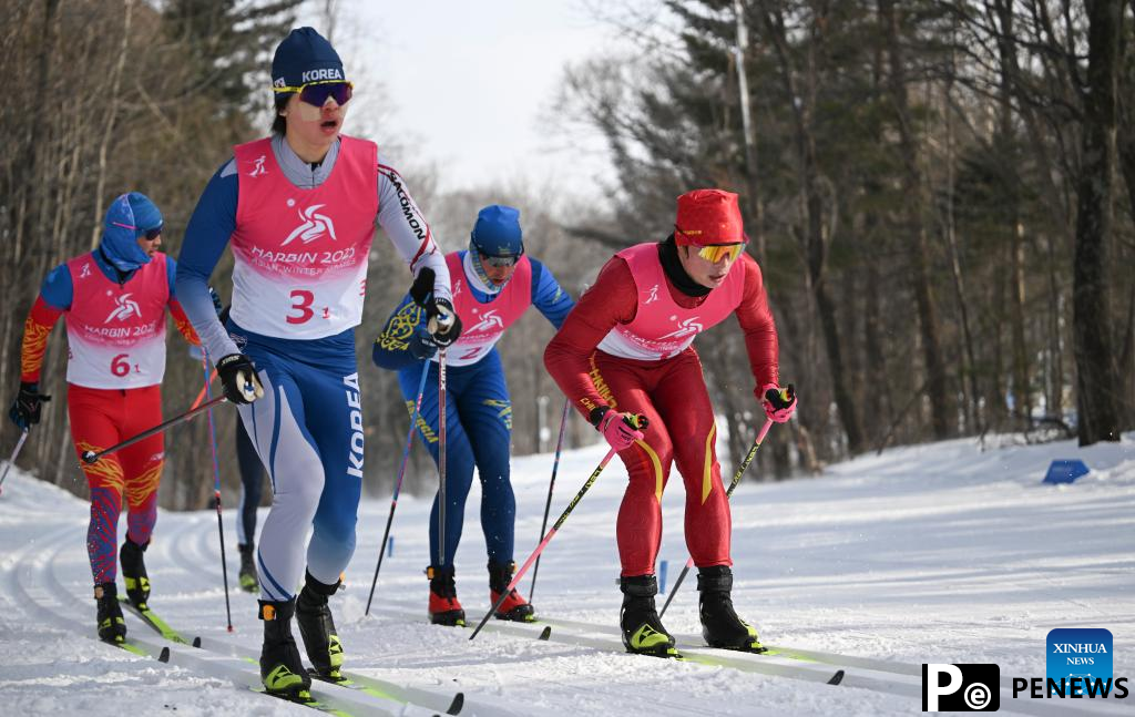 Country Skiing men