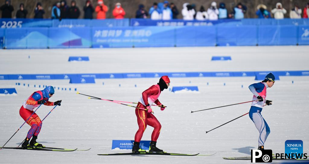 Country Skiing men