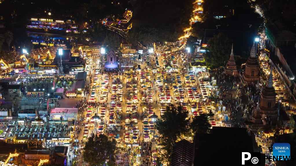 View of Jinghong City in SW China