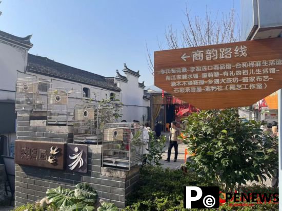 Village alliance nets tourism windfall in Jinhua, E China