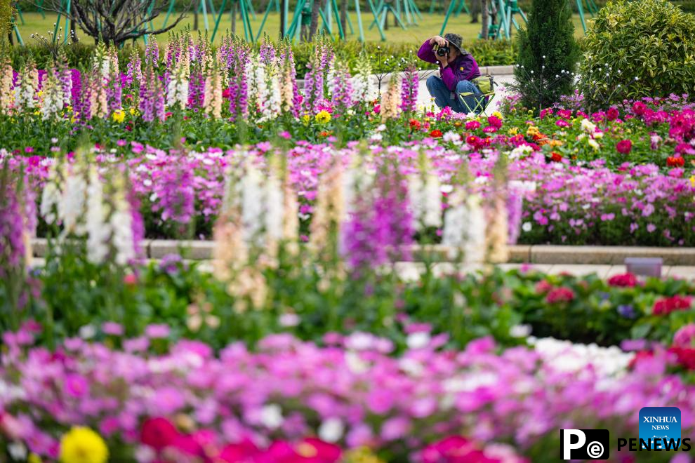 Flower show celebrating 25th anniversary of Macao