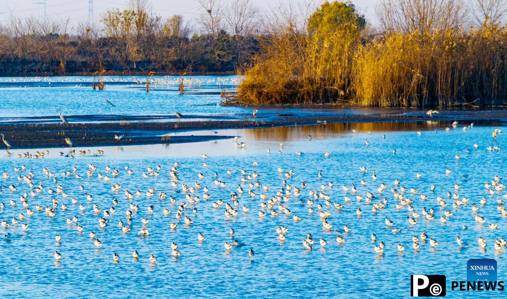 Winter scenery across China