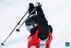 China's Liu Mengting wins women's freeski slopestyle at Asian Winter Games