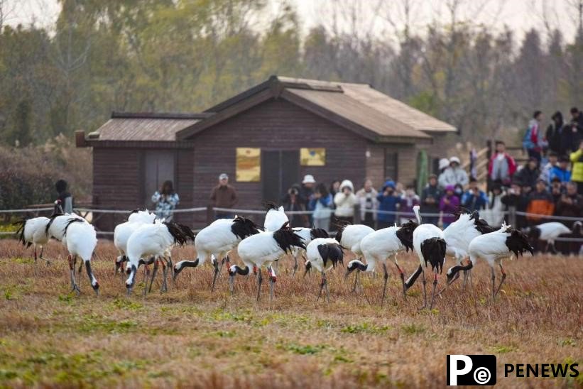 Birdwatching and beyond: booming ecotourism in E China