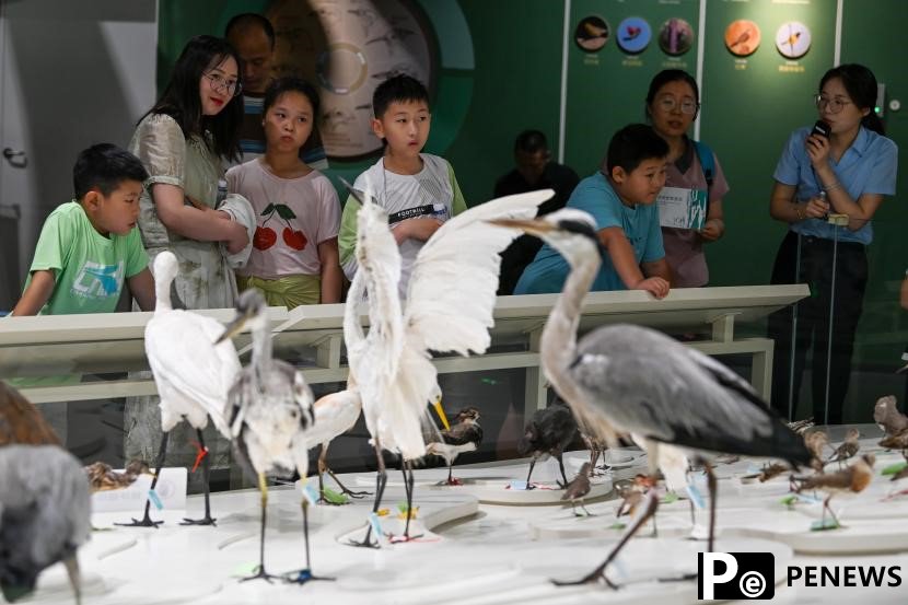 Birdwatching and beyond: booming ecotourism in E China